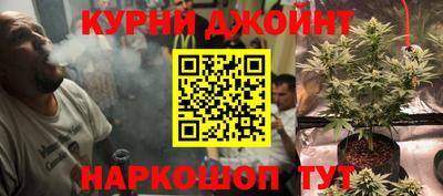 кокс Гатчина