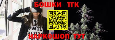 сатива Гай