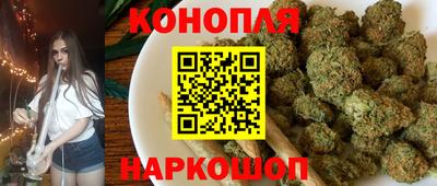 сатива Гай