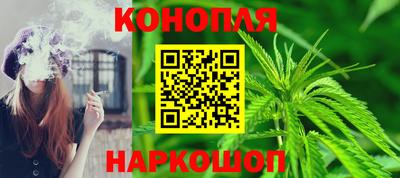 кокс Гатчина