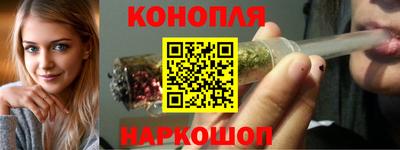 сатива Гай
