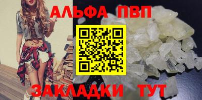 кокс Гатчина