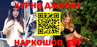 сатива Гай