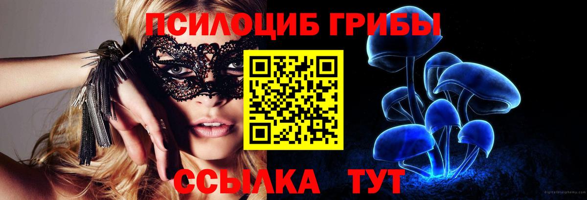 где купить наркоту  Псилоцибиновые грибы GOLDEN TEACHER  Вход с VPN  Новочебоксарск 